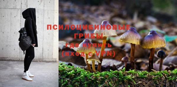 PSILOCYBIN Богородицк